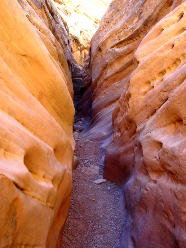 04160302LittleWildHorse (1097)